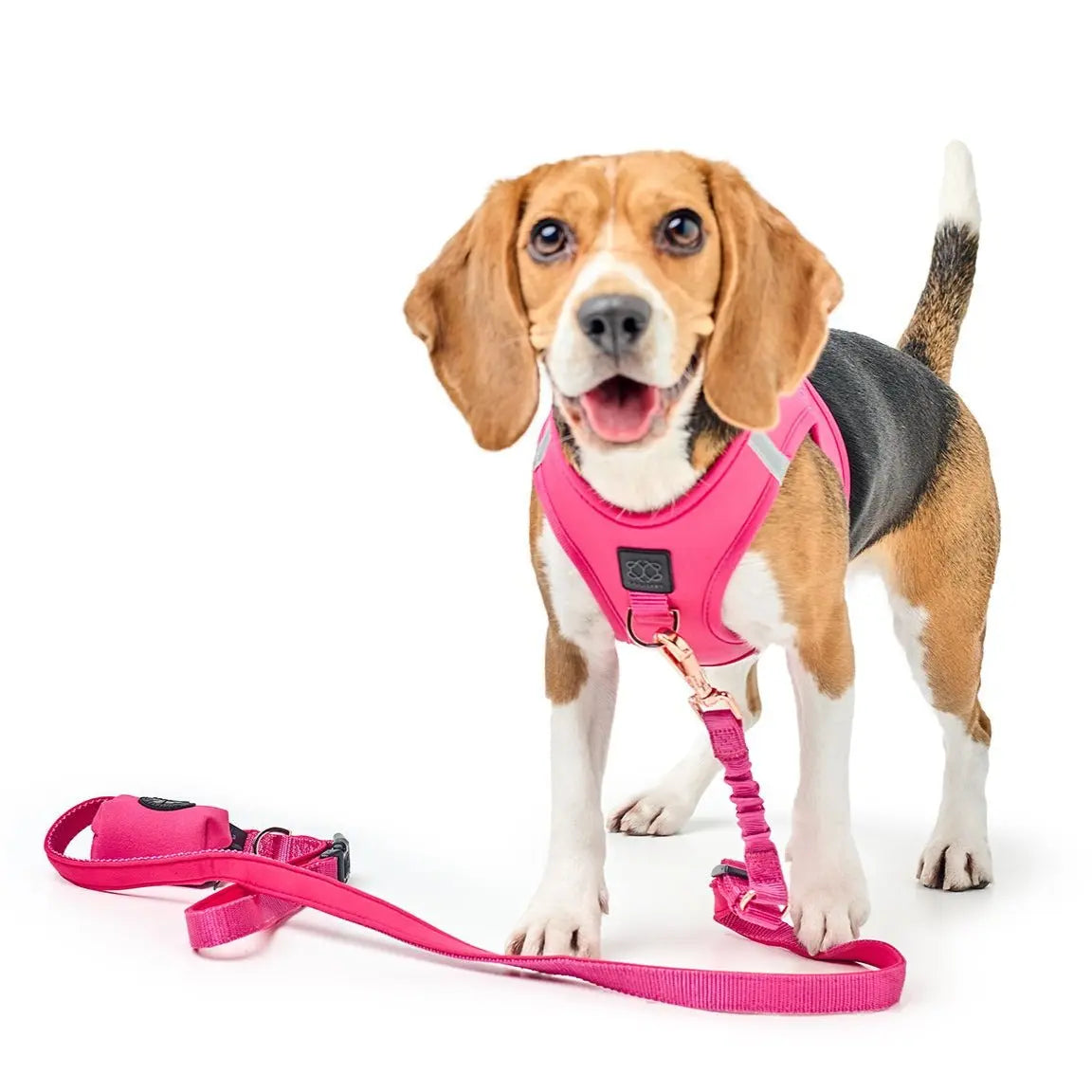 3-in-1 City Dog Leash - Park Ave Pink - K9 Outdoors