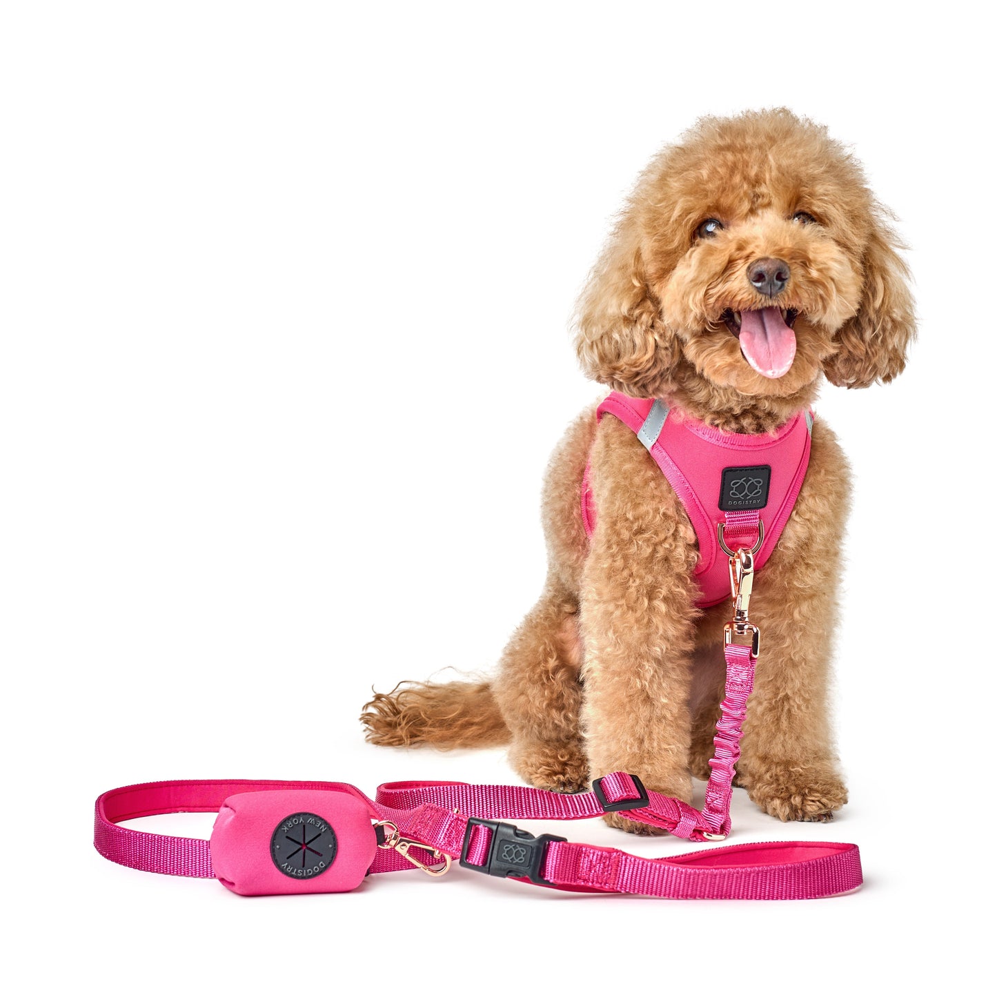 3-in-1 City Dog Leash - Park Ave Pink Dogistry™
