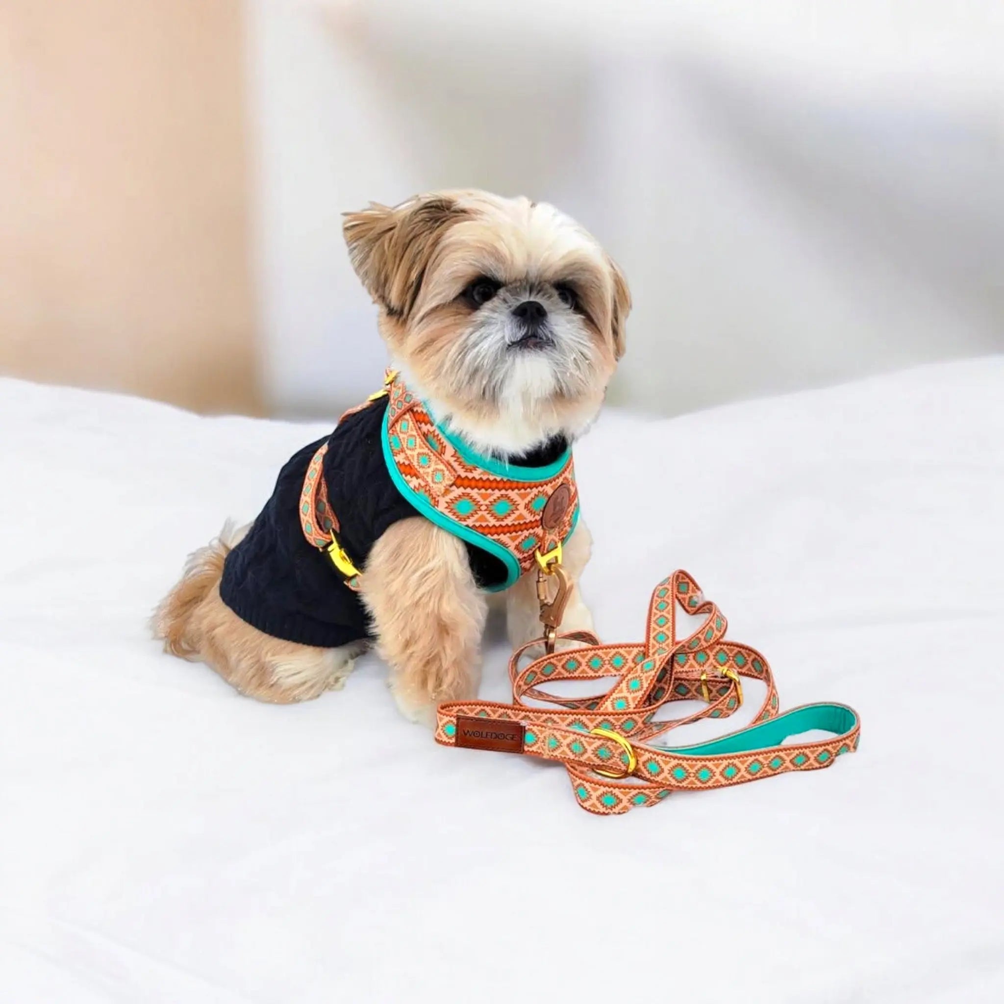Southwest Spirit Leash WOLFDOGE