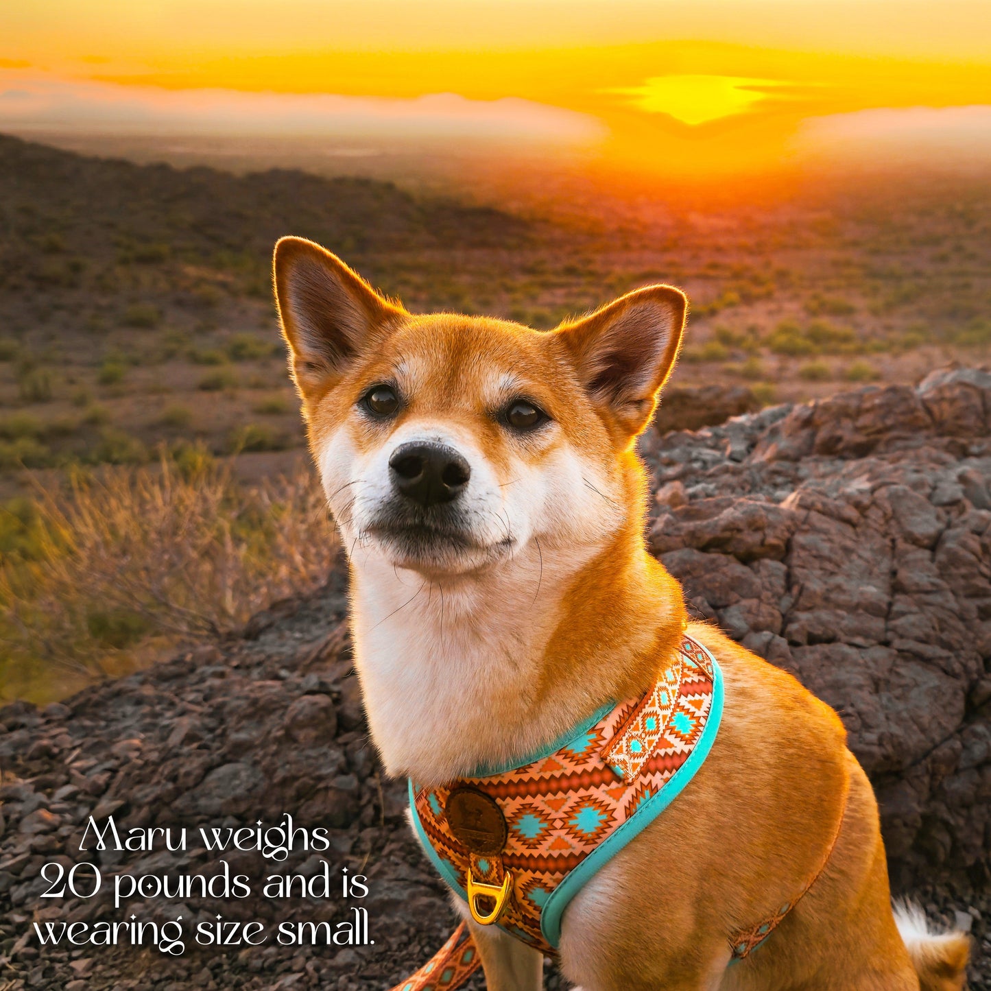 Southwest Spirit Harness WOLFDOGE