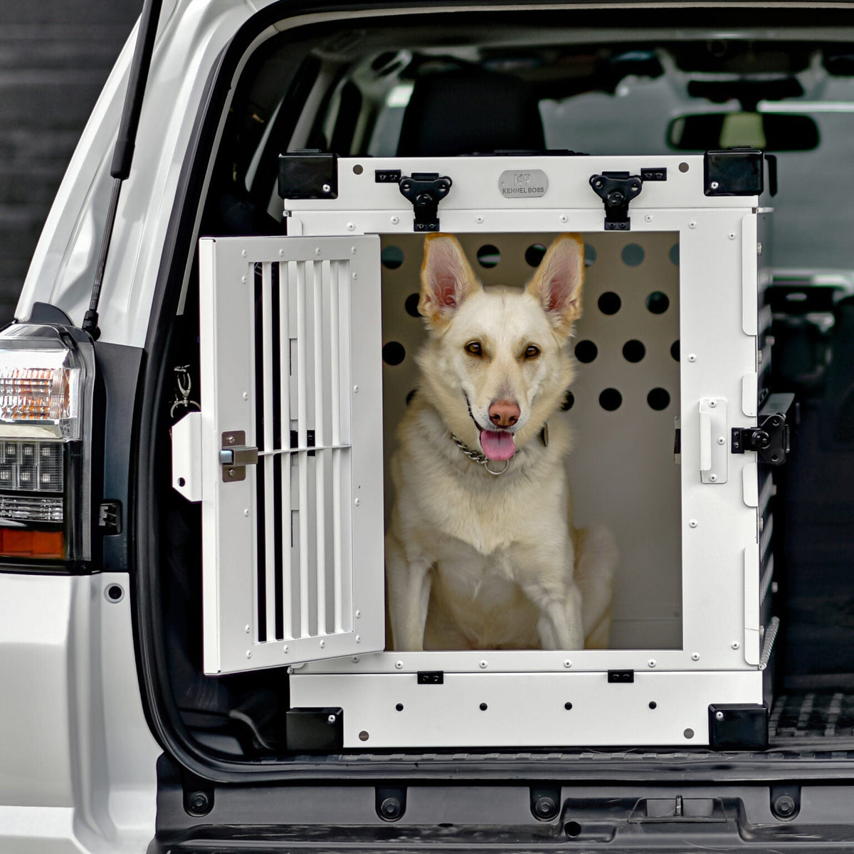Heavy Duty Collapsible Dog Crate – Medium