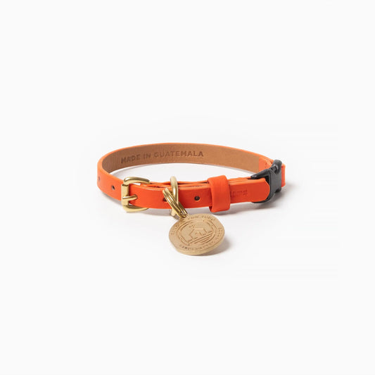 Sunset Cat Collar Ramona For You