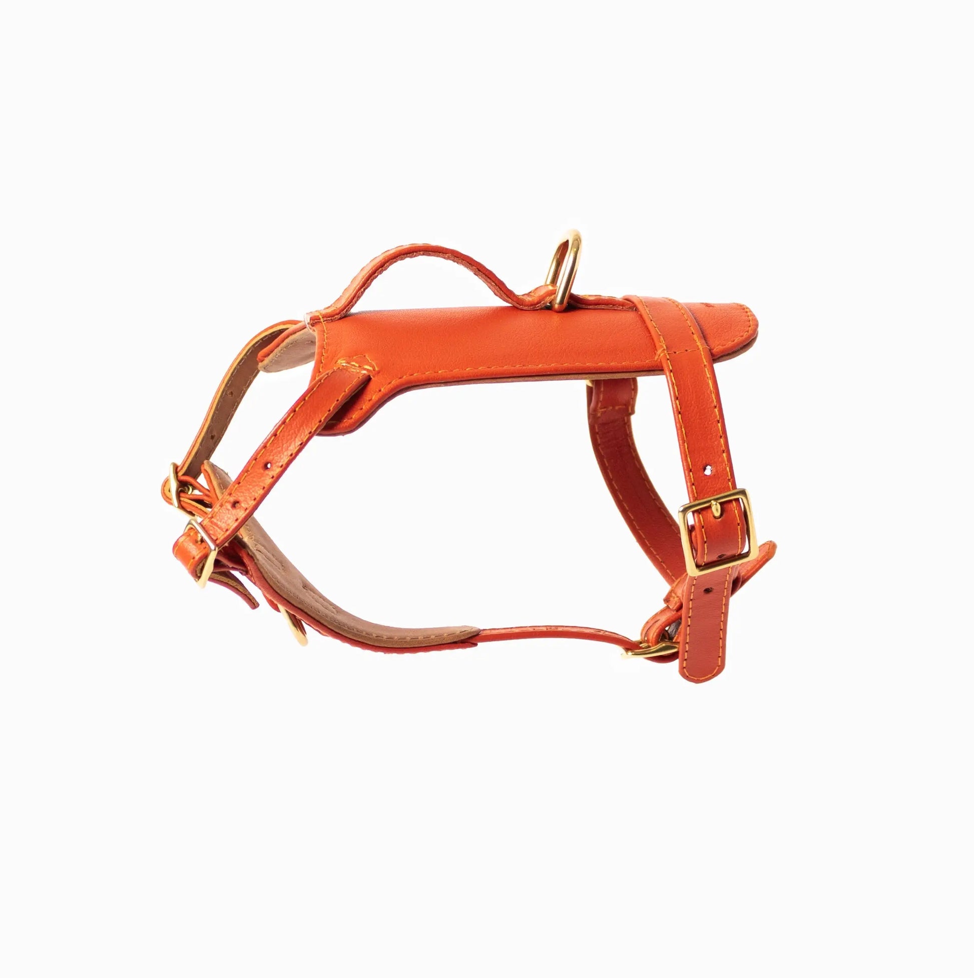 Sunset Heritage Harness Ramona For You