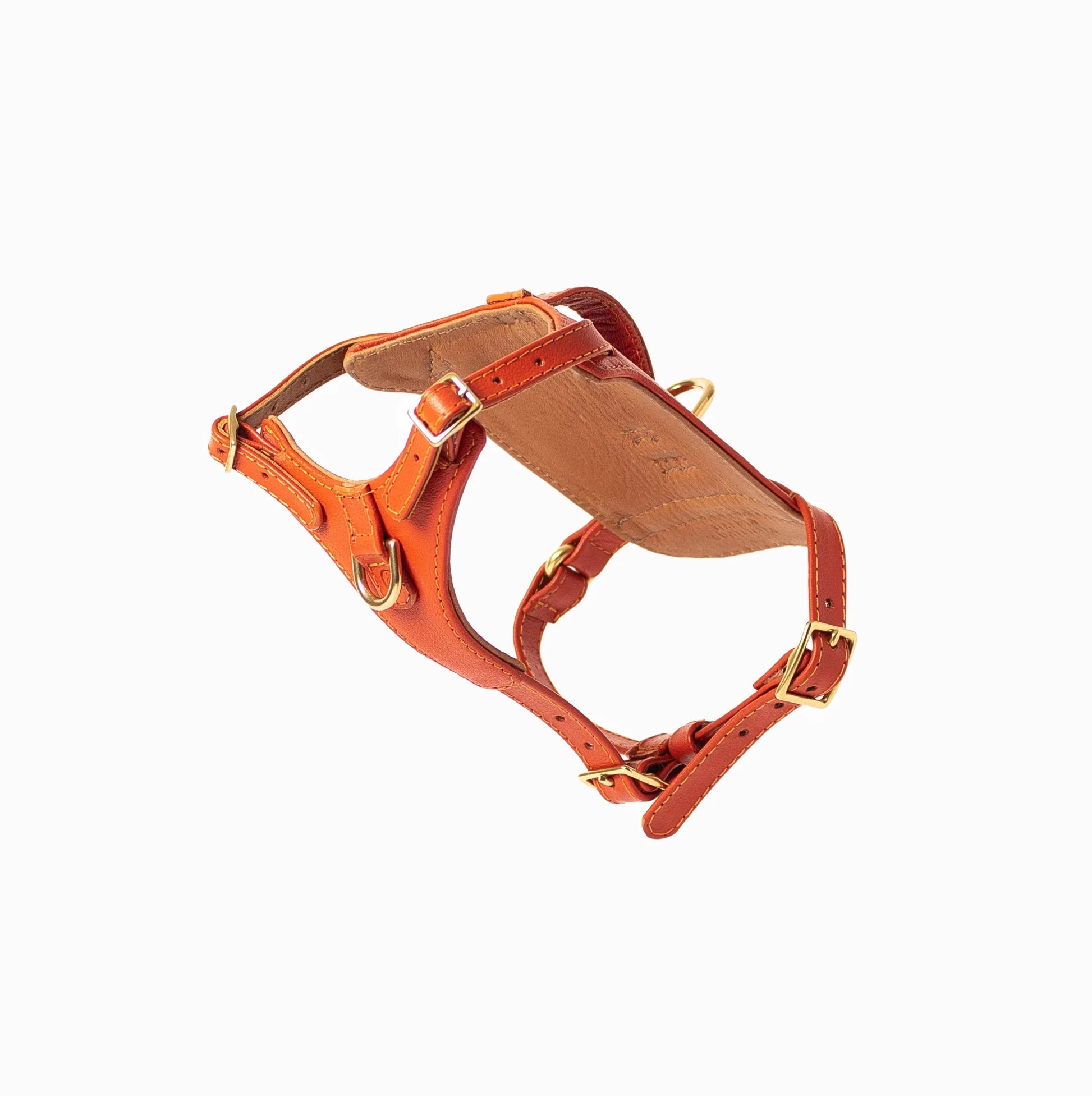 Sunset Heritage Harness Ramona For You