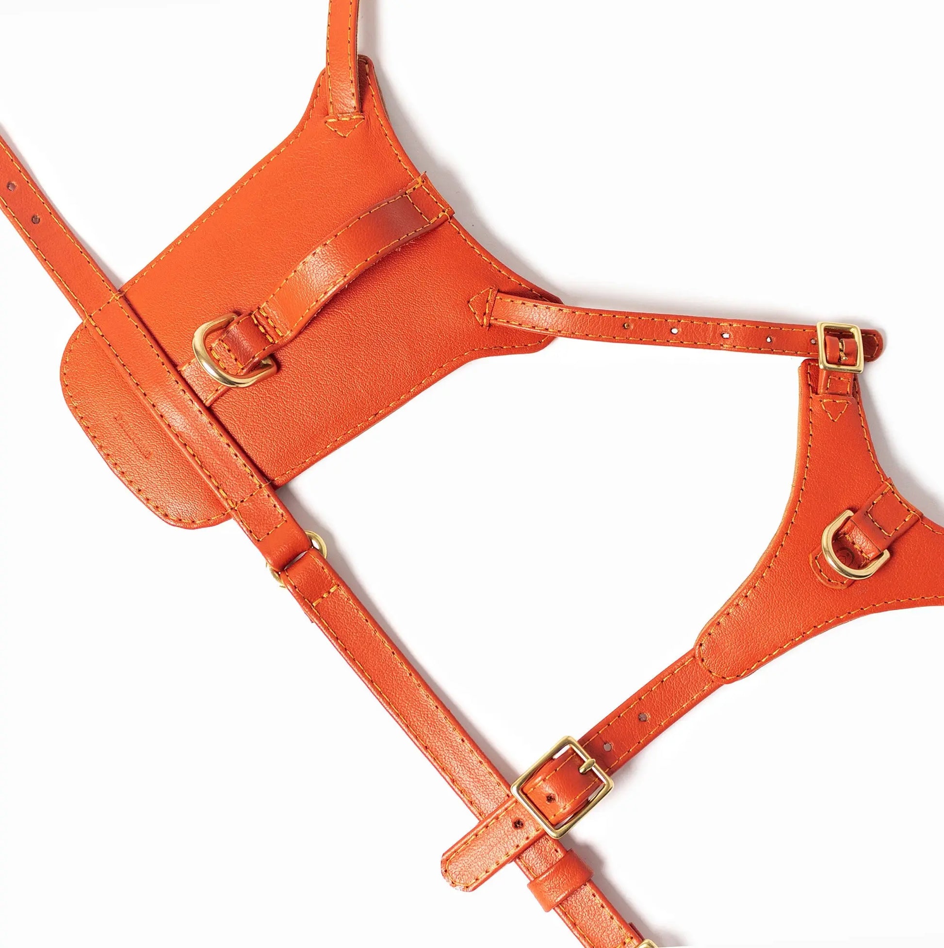 Sunset Heritage Harness Ramona For You