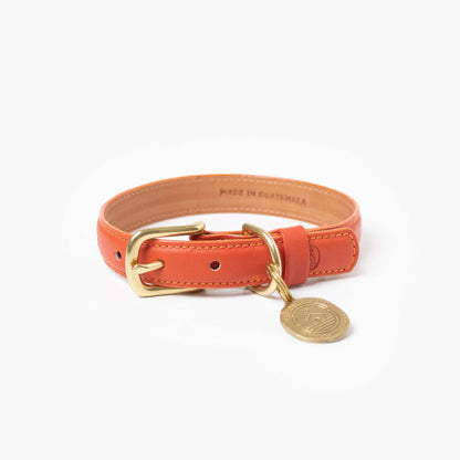 Sunset Collar Ramona For You