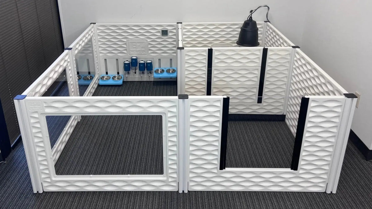 EZclassic Condo - Bundle