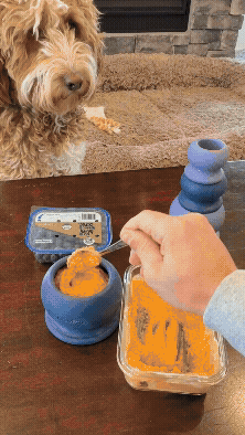 Family Value Bundle - Best Value for Multi-Dog Homes