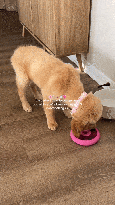 Family Value Bundle - Best Value for Multi-Dog Homes