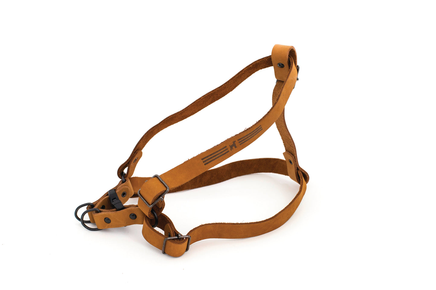 Sport Style Leather Step In Harness Euro-Dog Collars and Leads