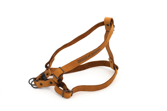 Sport Style Leather Step In Harness Euro-Dog Collars and Leads