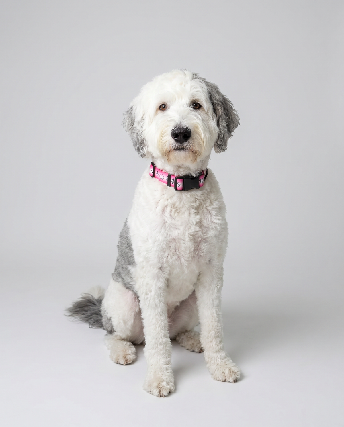 Doodles Print Waterproof Dog Collar - Pink Gradient