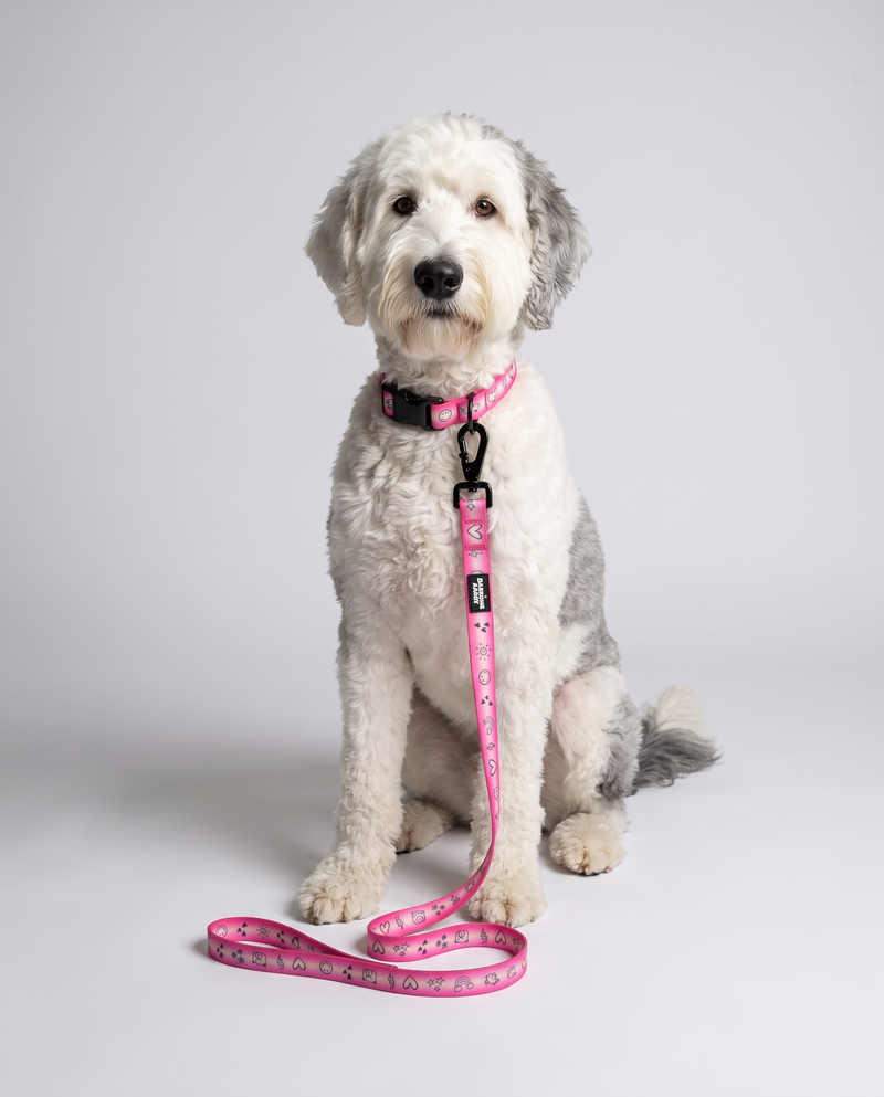 Doodles Print Waterproof Dog Leash - 2 Colors