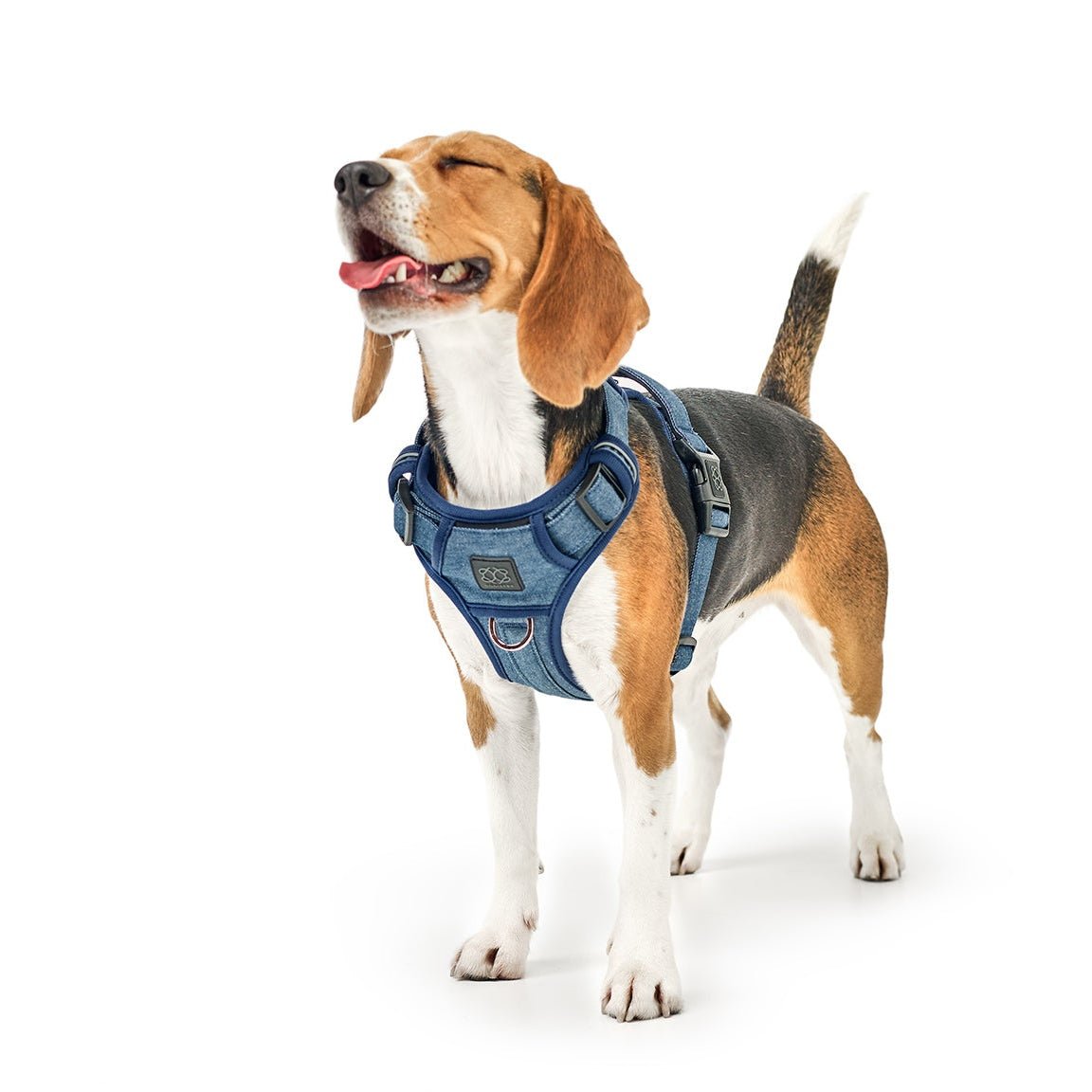 The NoMad Adjustable Luxe Harness - Denim Dogistry™