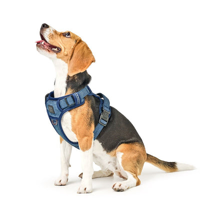 The NoMad Adjustable Luxe Harness - Denim Dogistry™