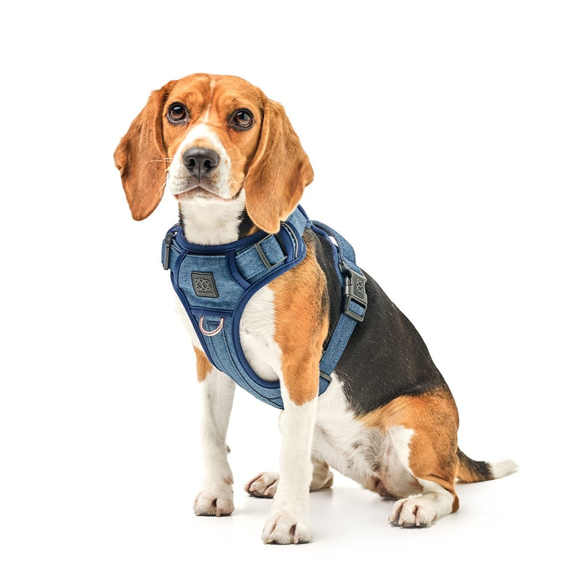 The NoMad Adjustable Luxe Harness - Denim Dogistry™