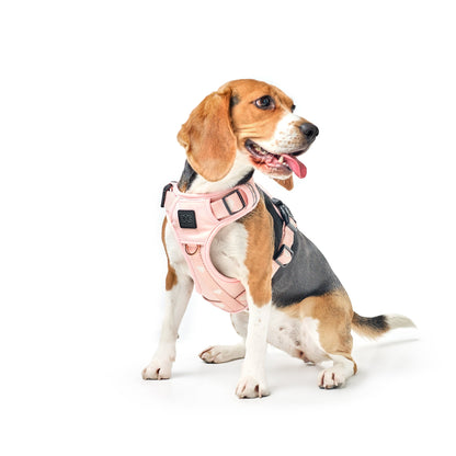 The NoMad Adjustable Luxe Harness - Sweetheart Dogistry™