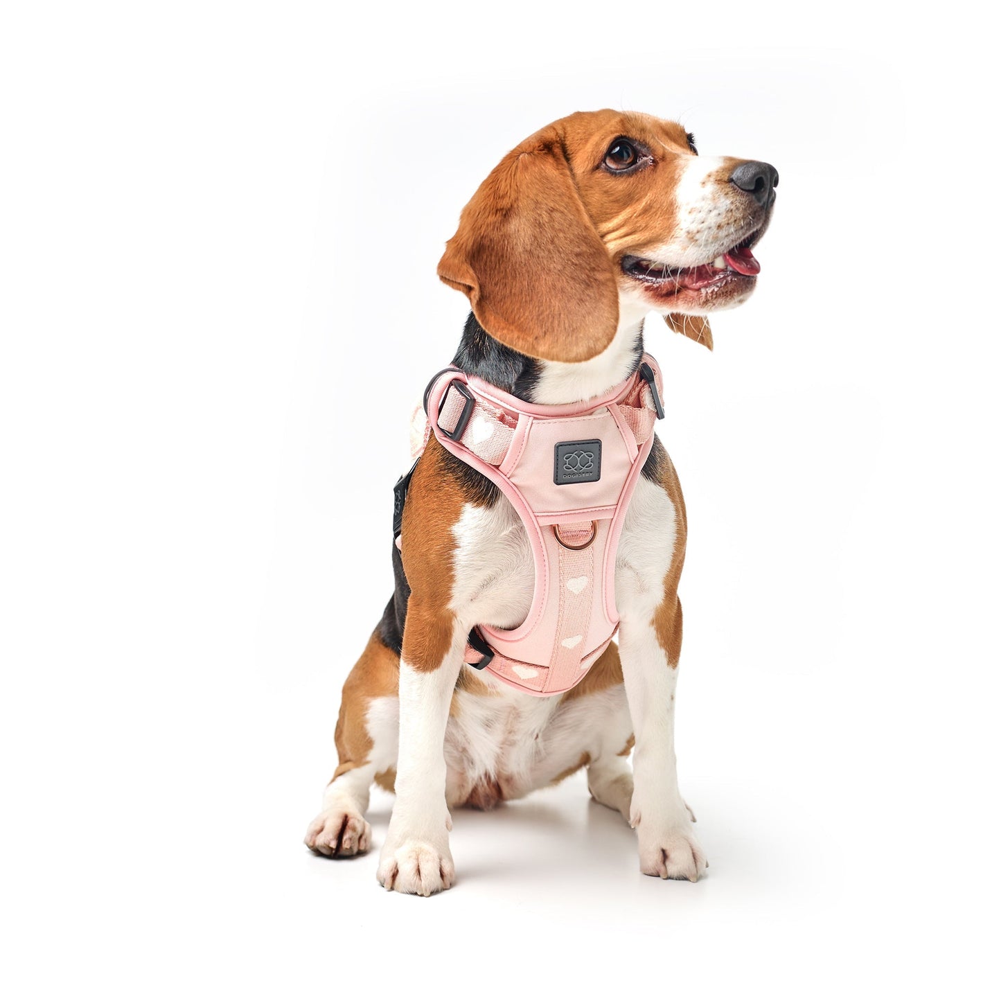 The NoMad Adjustable Luxe Harness - Sweetheart Dogistry™