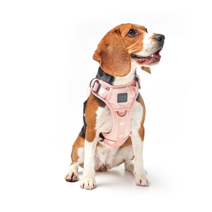 The NoMad Adjustable Luxe Harness - Sweetheart Dogistry™