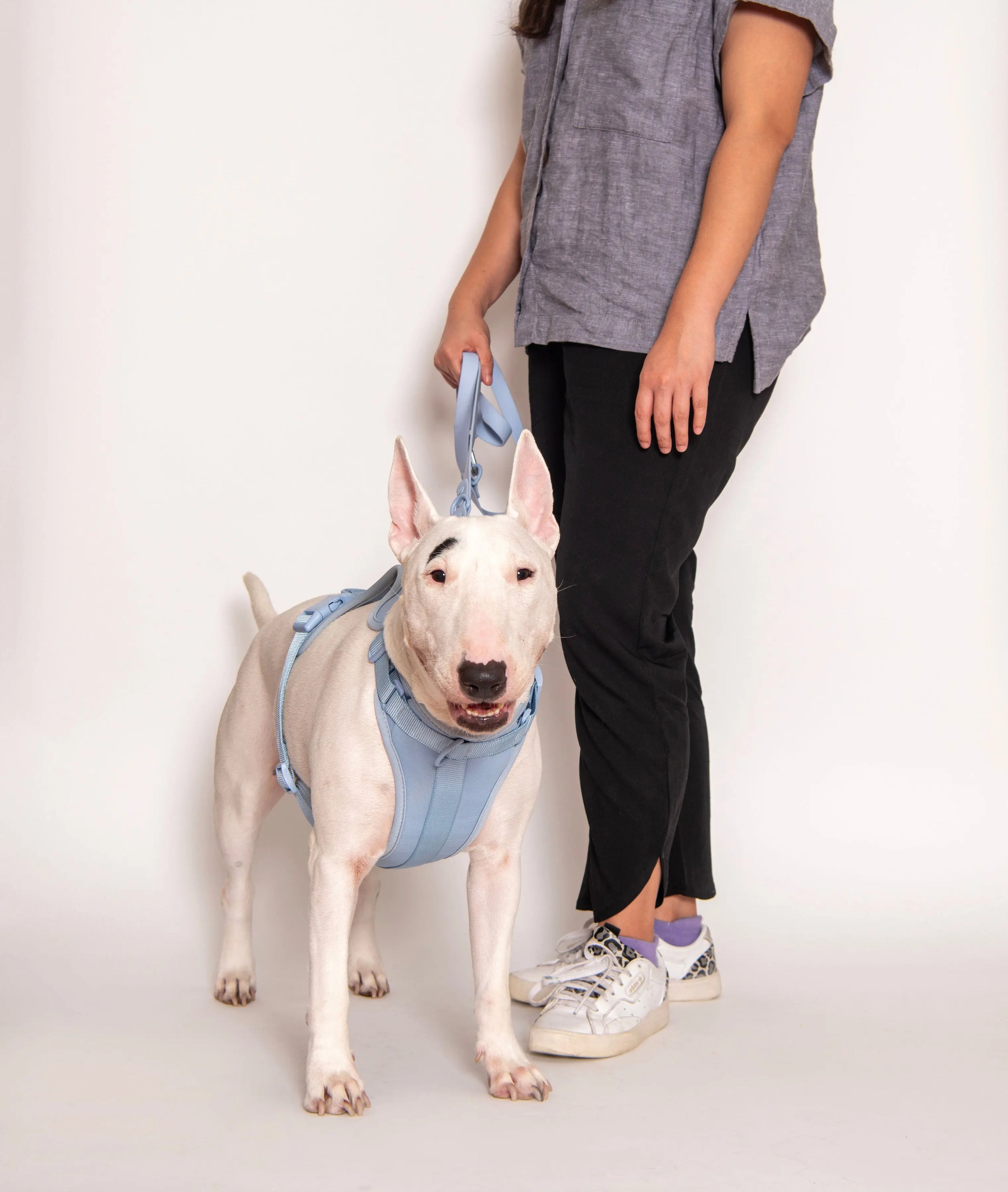 Harness - K9 Outdoors