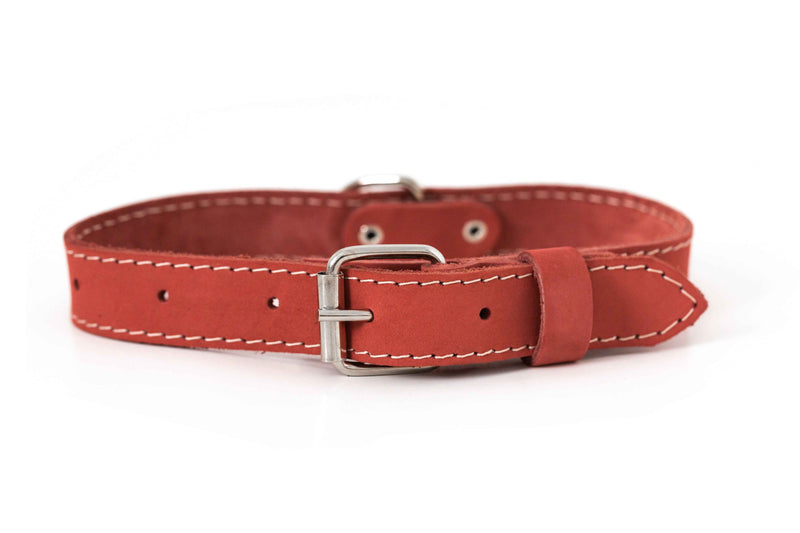 Pro Line Leather Hunting Dog Collar