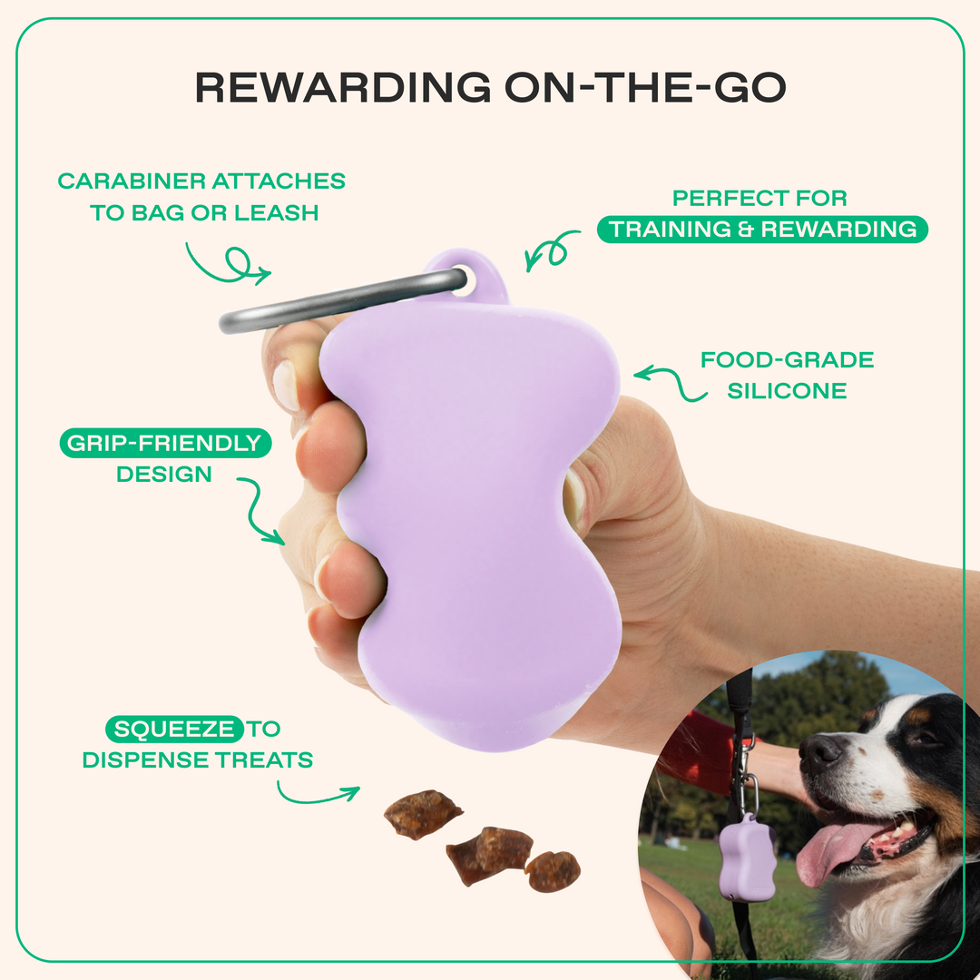 Dog Essentials Gift Box Set