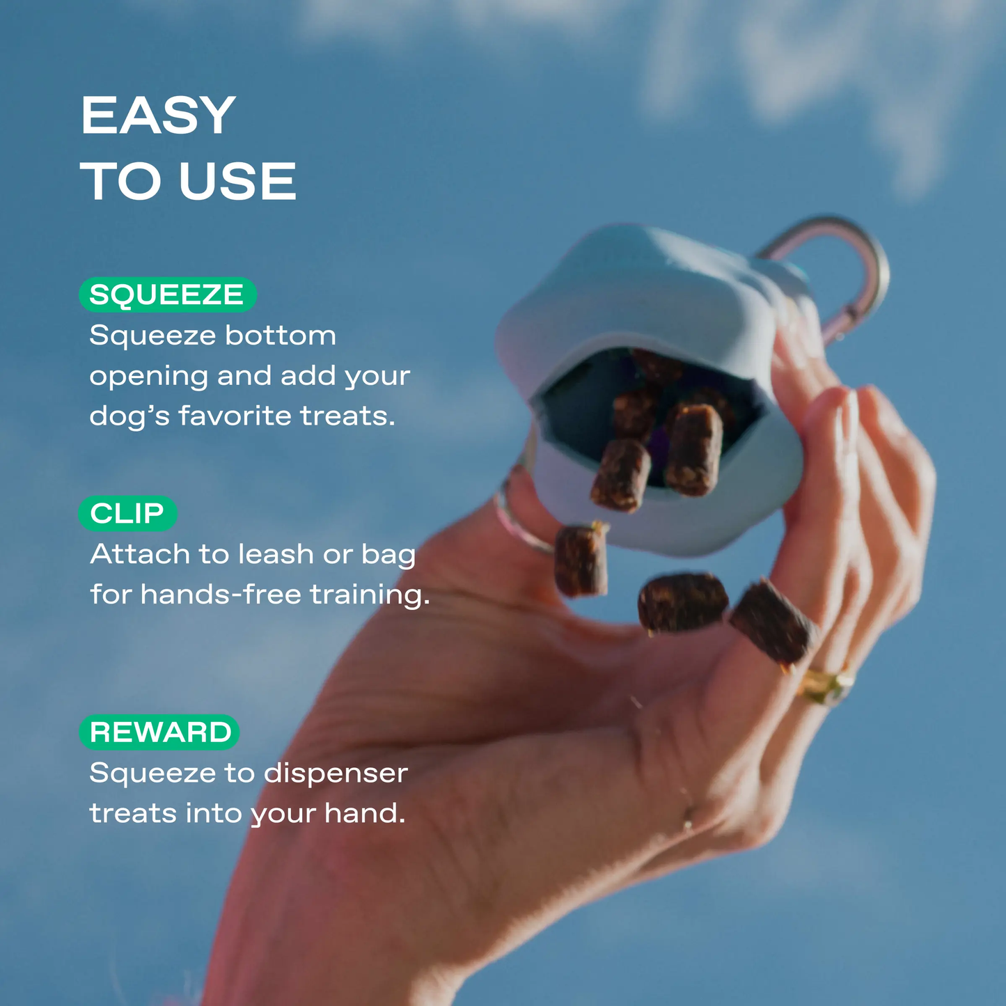 Silicone Dog Treat Dispenser Springland Pets