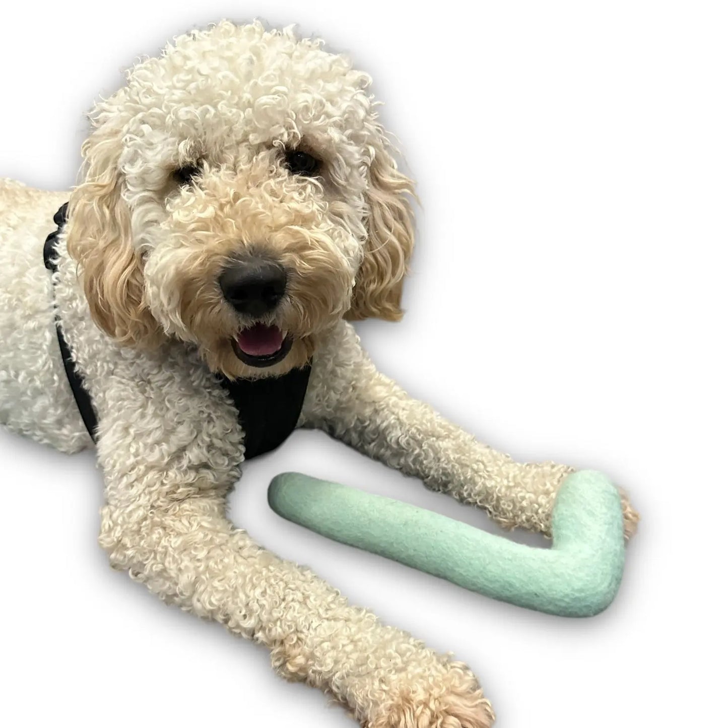 Tube Felt Dog Toy - K9 Outdoors