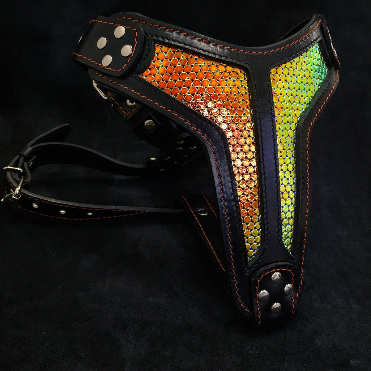 Bestia D'Albertis Leather Dog Harness – Limited Edition