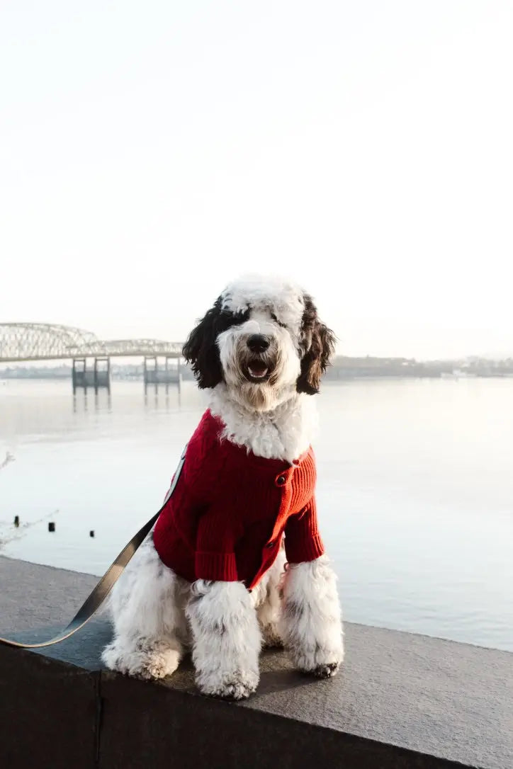 Brooklyn Cashmere Cardigan, Garnet