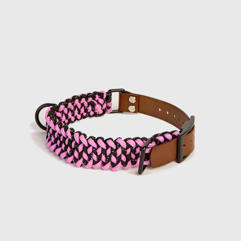 Forever Collar