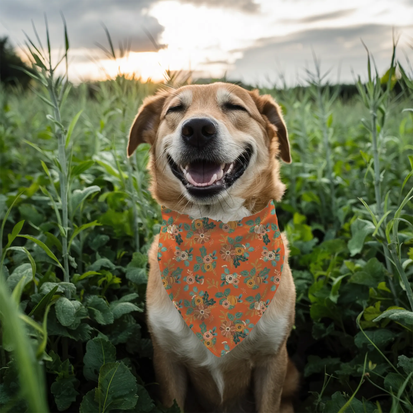 Fall Floral Dog Bandana Happy Tails Outfitters