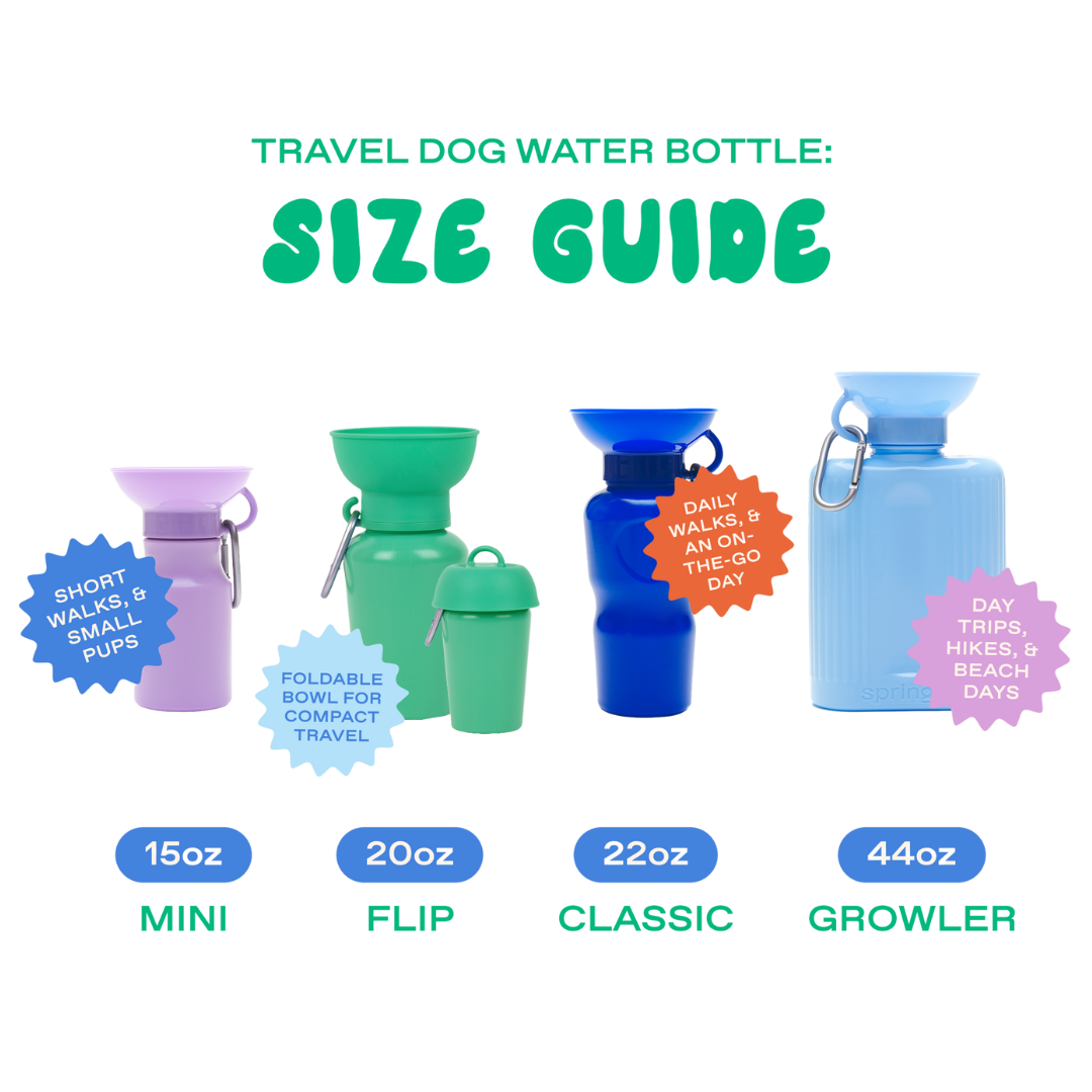 20oz Flip Dog Travel Water Bottle Springland Pets