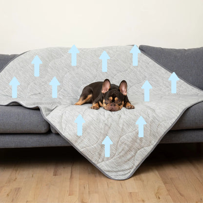 PupChill™ Cooling Waterproof Blanket - Arctic Grey Paw.com