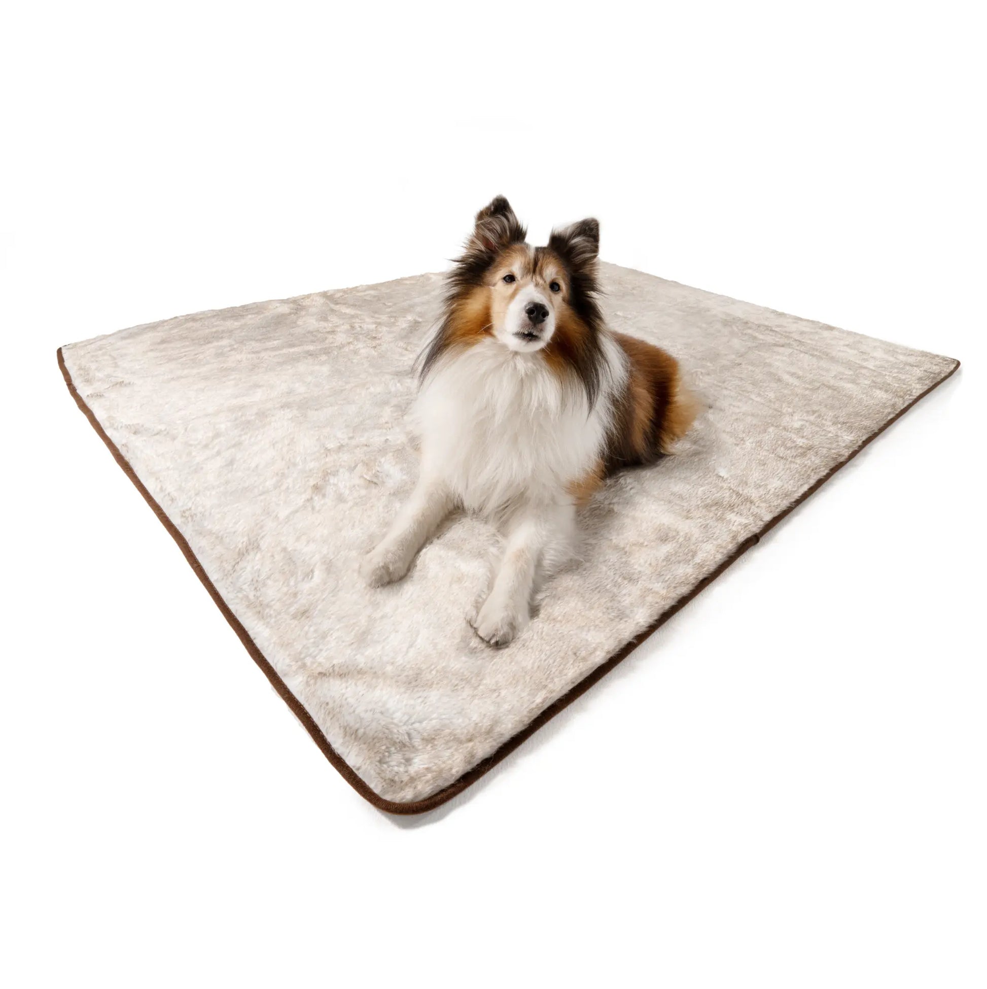 PupProtector™ Summer Short Fur Waterproof Throw Blanket - White with Brown Accents Paw.com