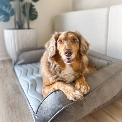 PupChill™ Cooling Bolster Dog Bed Paw.com