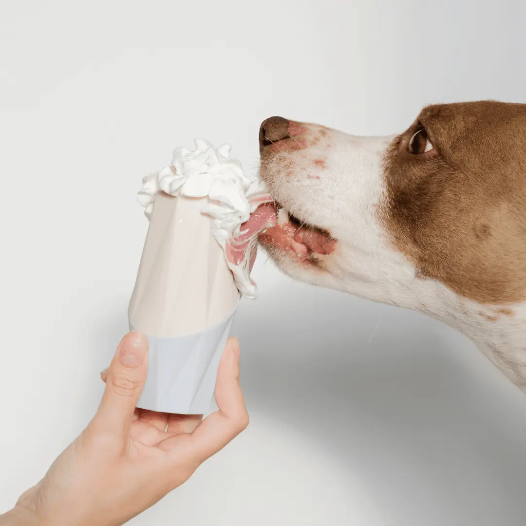 The Ubbe Modern Dog Licking Toy Up Dog Shop