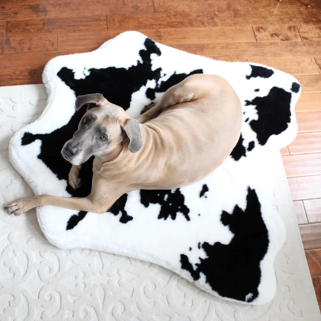 PupRug™ Animal Print Memory Foam Dog Bed - Black Faux Cowhide Paw.com