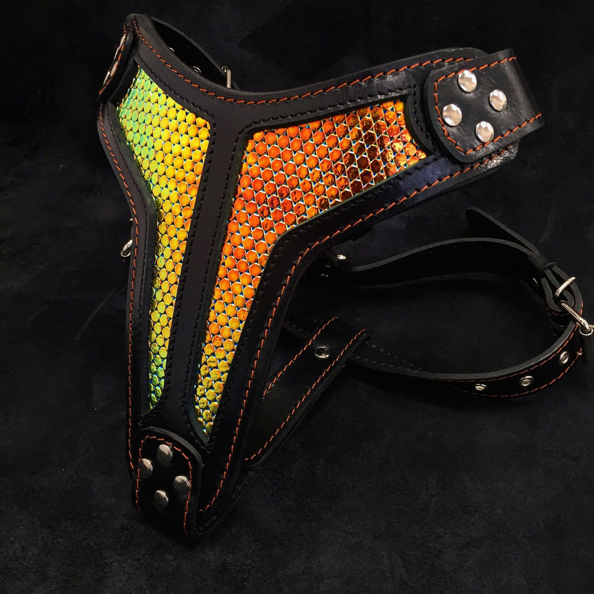 Bestia D'Albertis Leather Dog Harness – Limited Edition