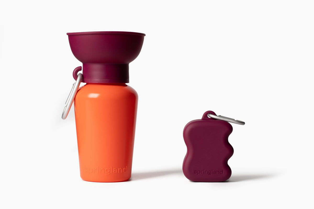Silicone Dog Treat Dispenser