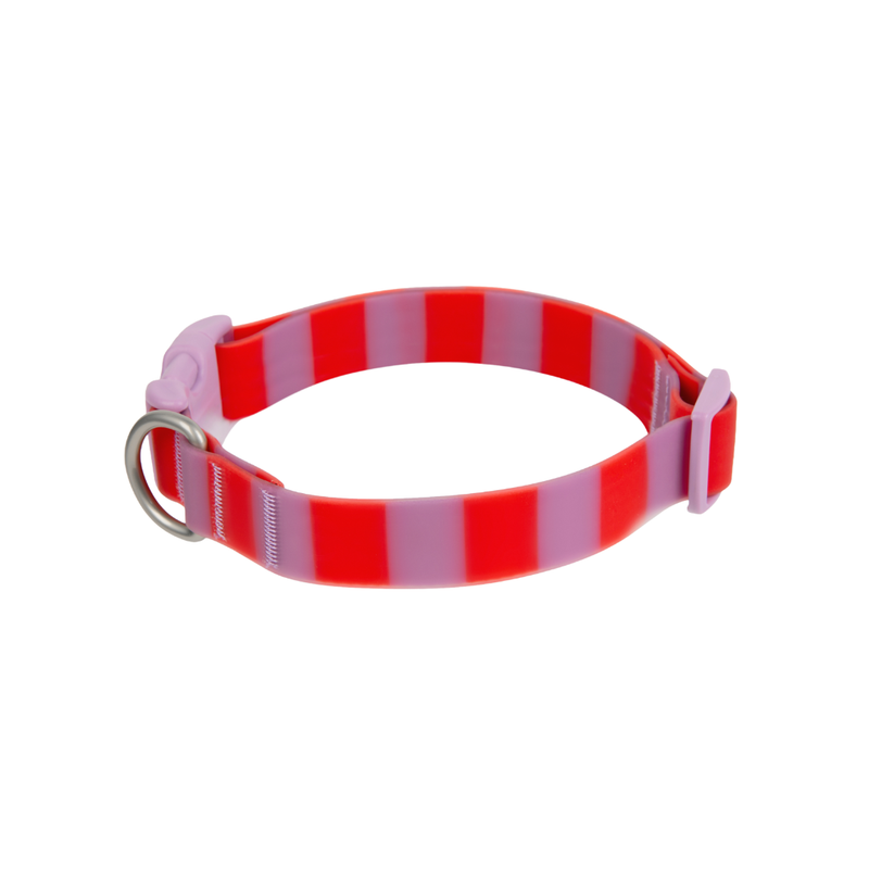 Waterproof Dog Collar