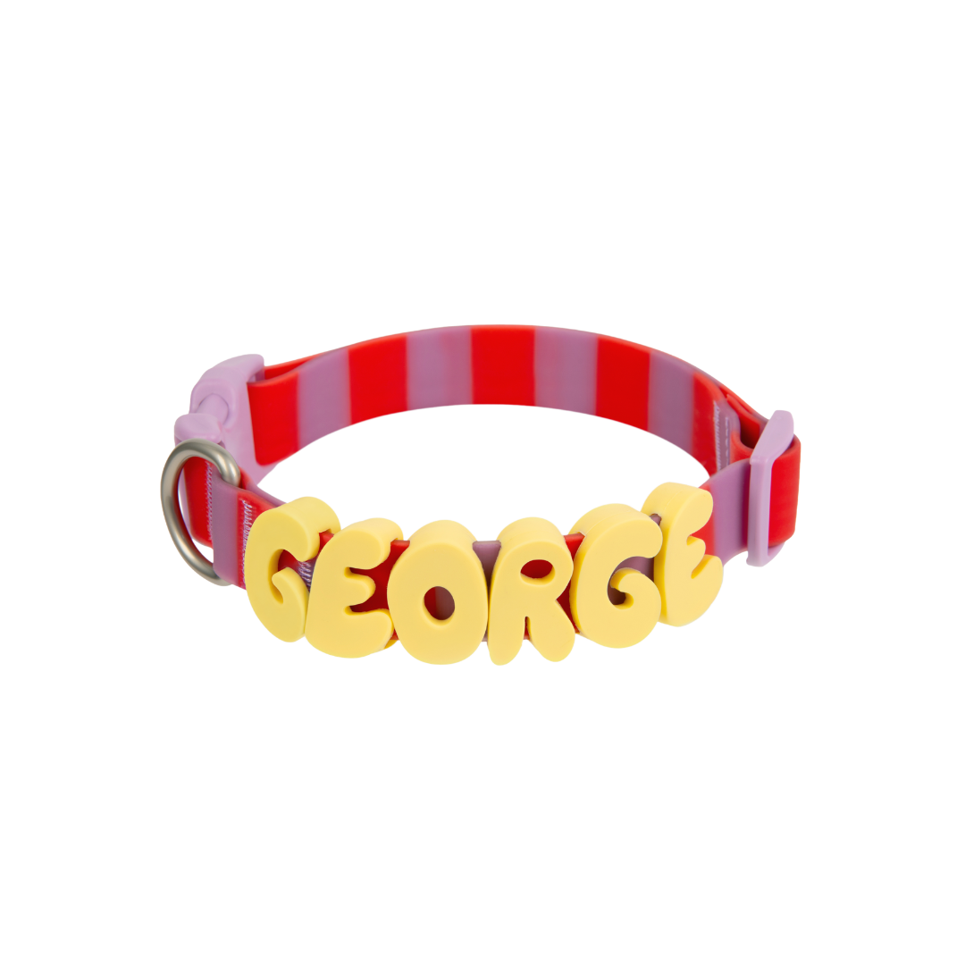 Waterproof Dog Collar