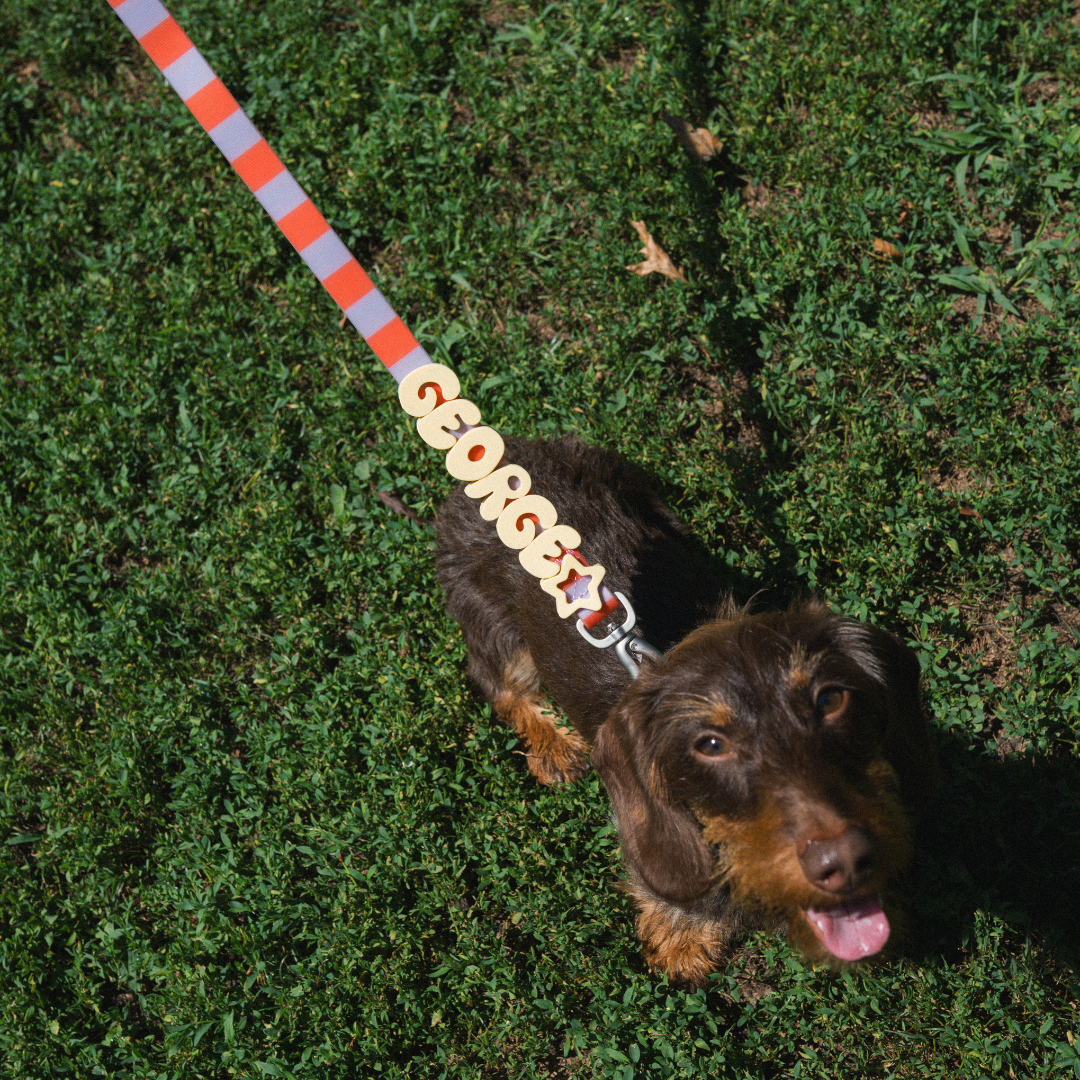 Waterproof Dog Leash - 5ft
