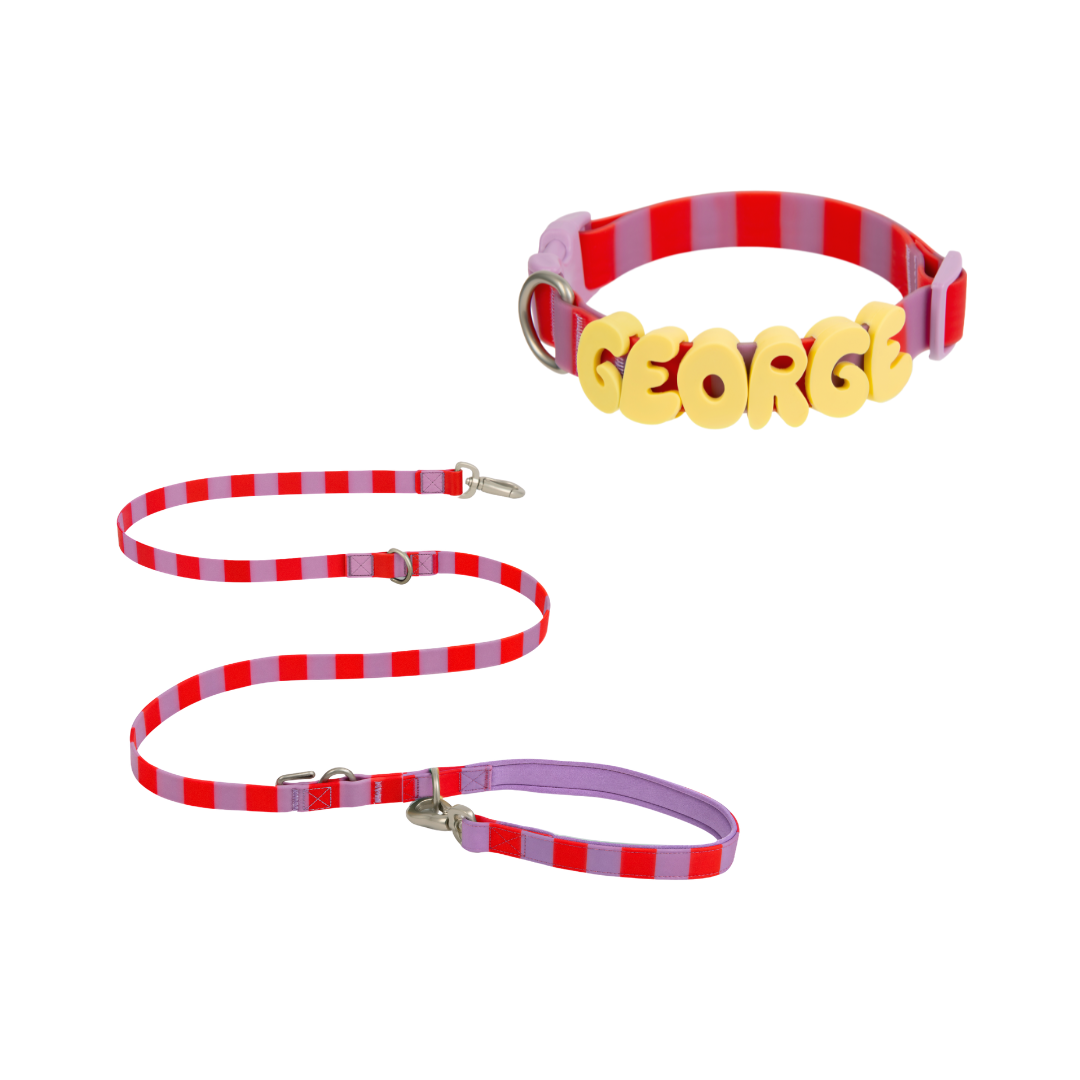 Waterproof Dog Collar