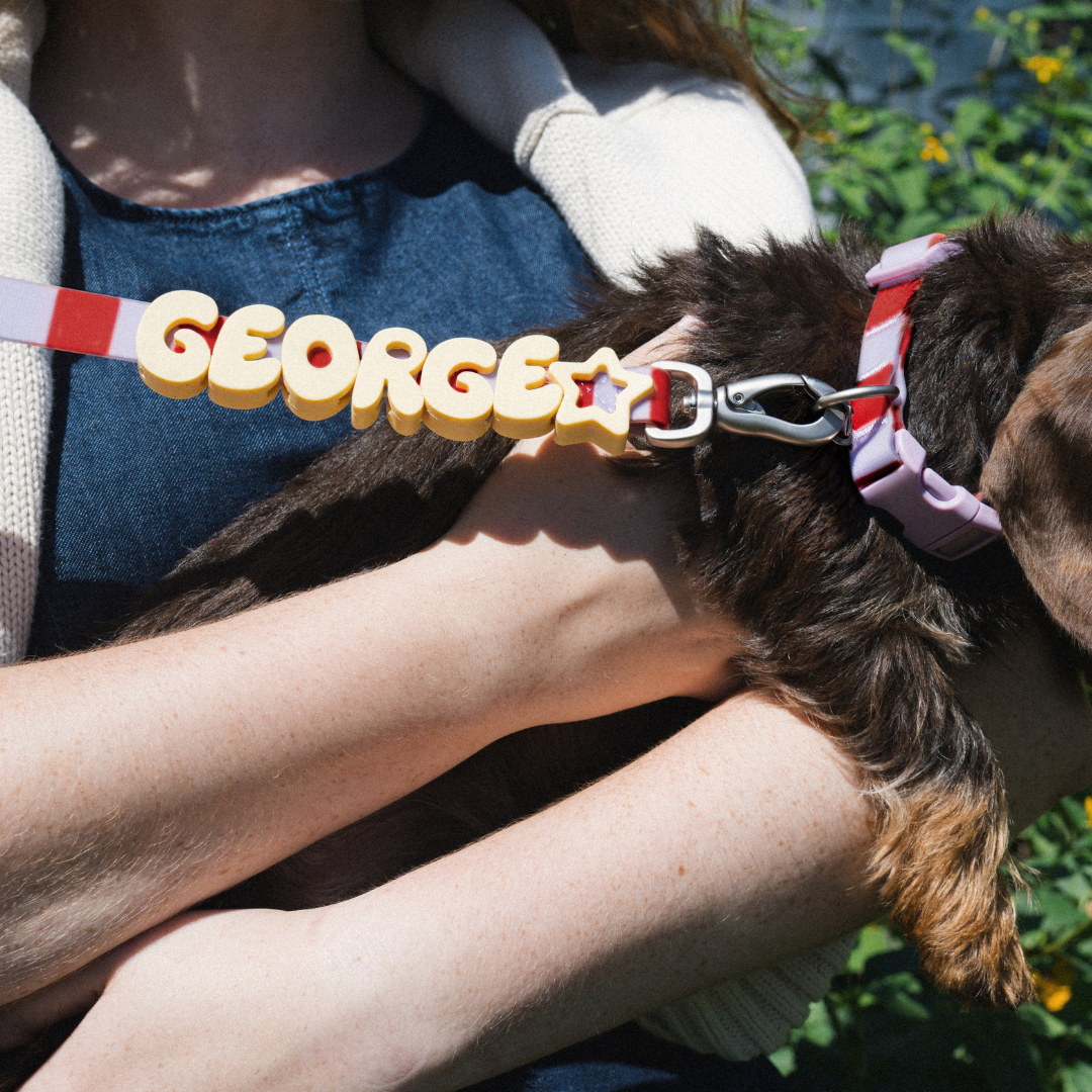 Waterproof Dog Collar