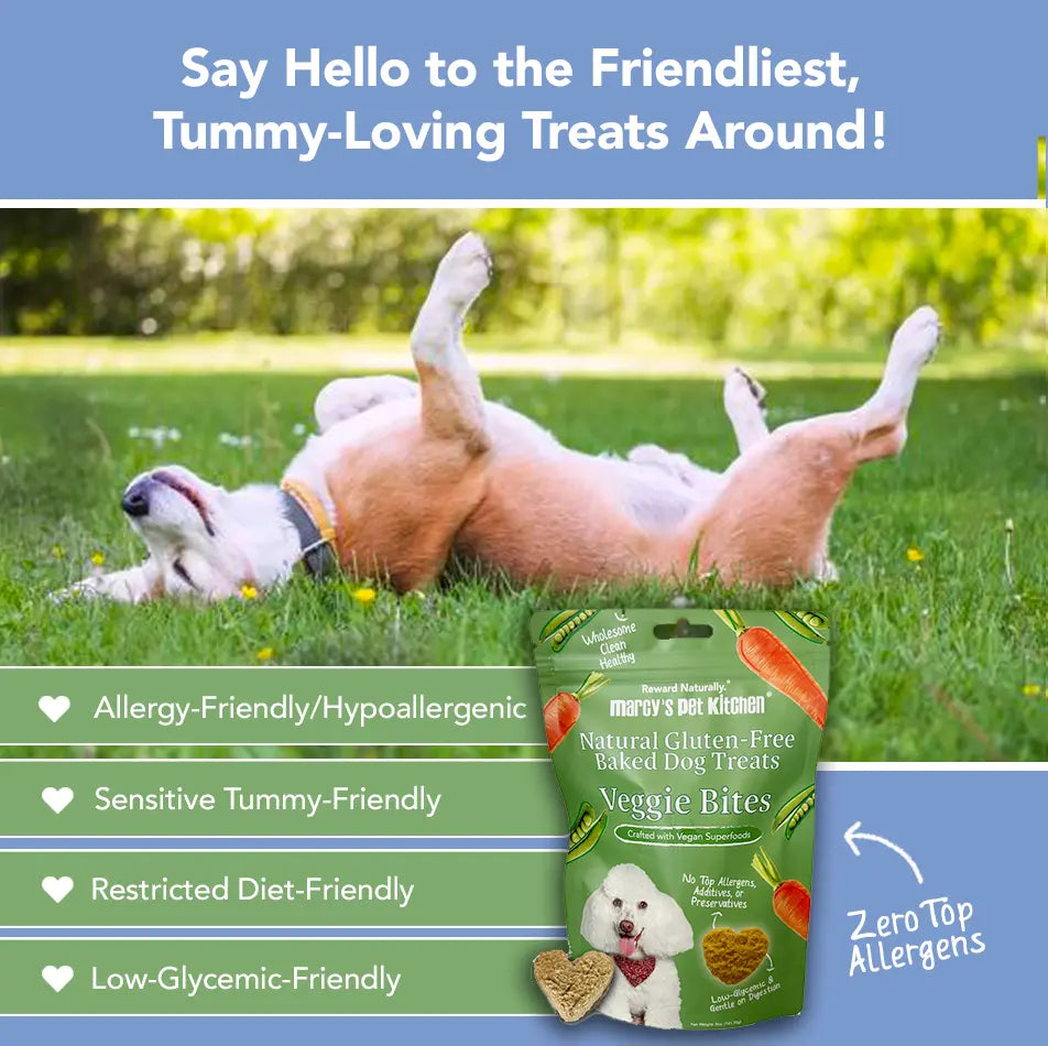 Marcy's Pet Kitchen-Vet Recommend- All Natural-Vegan Homemade,-Gluten Free-Chicken Free-for Sensitive Stomachs-Made in The USA Only Marcy's Pet Kitchen