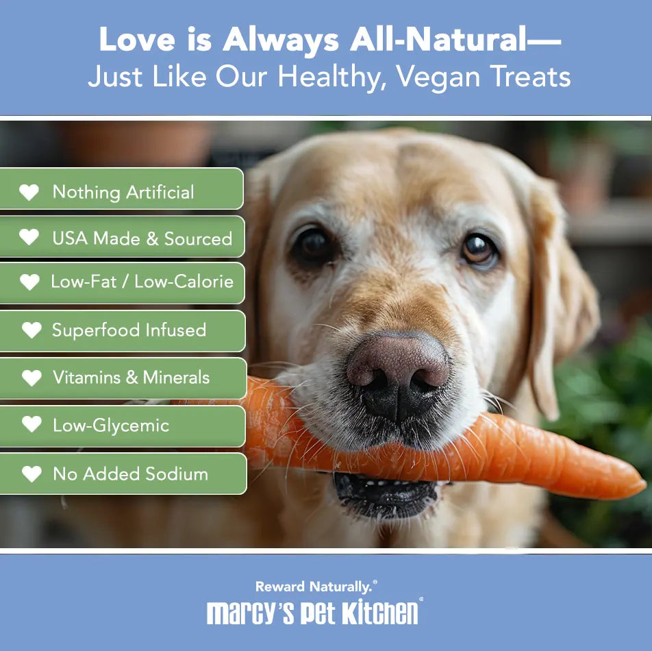Marcy's Pet Kitchen® - 'On-The-Go' All-Natural, Vegan Veggie Biscuit 1 oz Healthy Dog Treats Marcy's Pet Kitchen