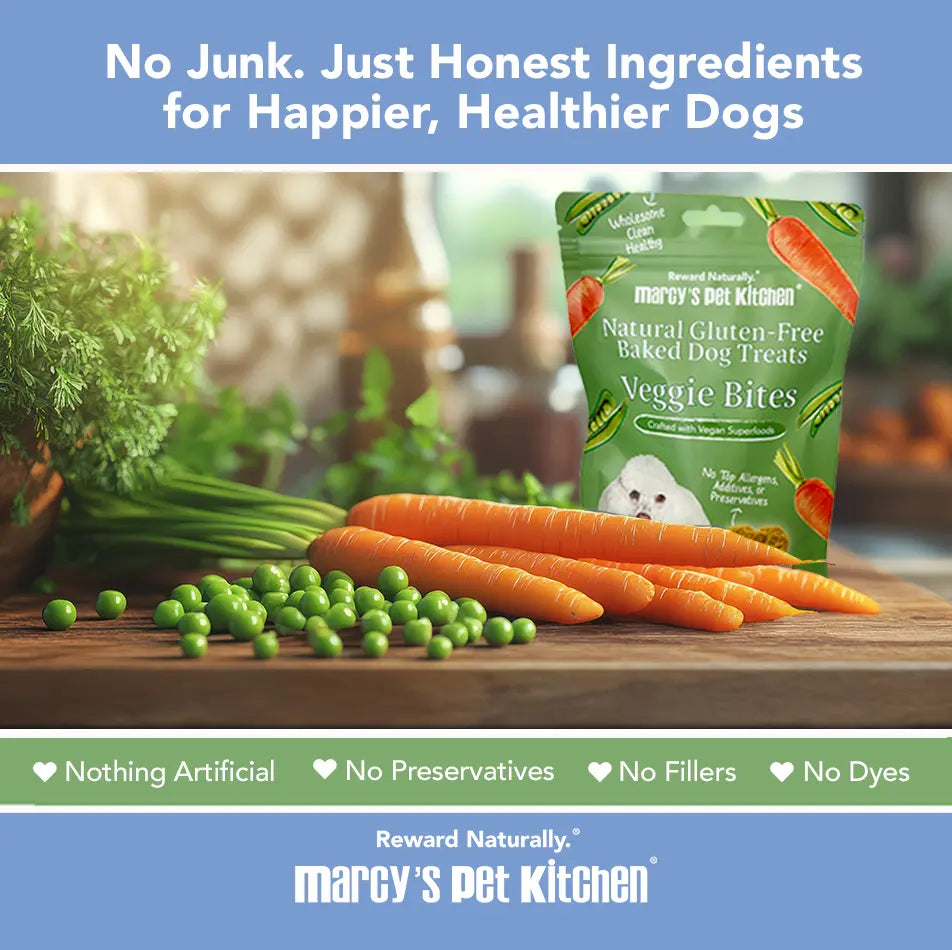 Marcy's Pet Kitchen® - 'On-The-Go' All-Natural, Vegan Veggie Biscuit 1 oz Healthy Dog Treats Marcy's Pet Kitchen