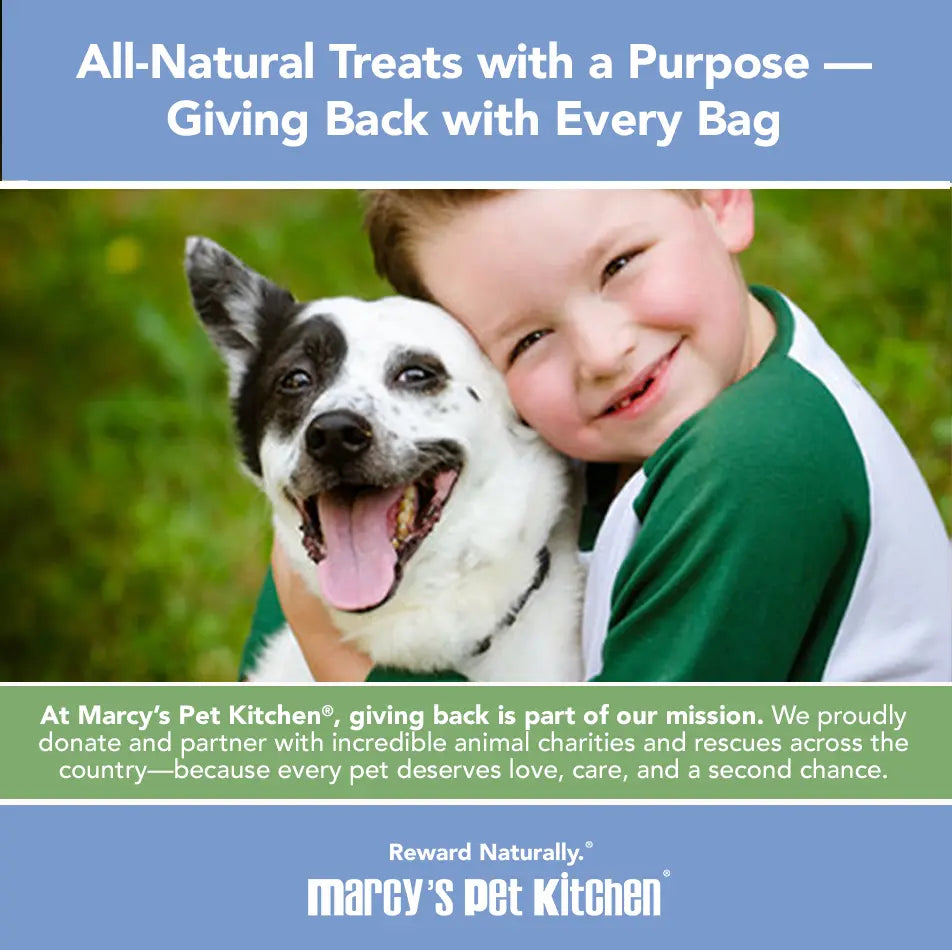 Marcy's Pet Kitchen® - 'On-The-Go' All-Natural, Vegan Veggie Biscuit 1 oz Healthy Dog Treats Marcy's Pet Kitchen