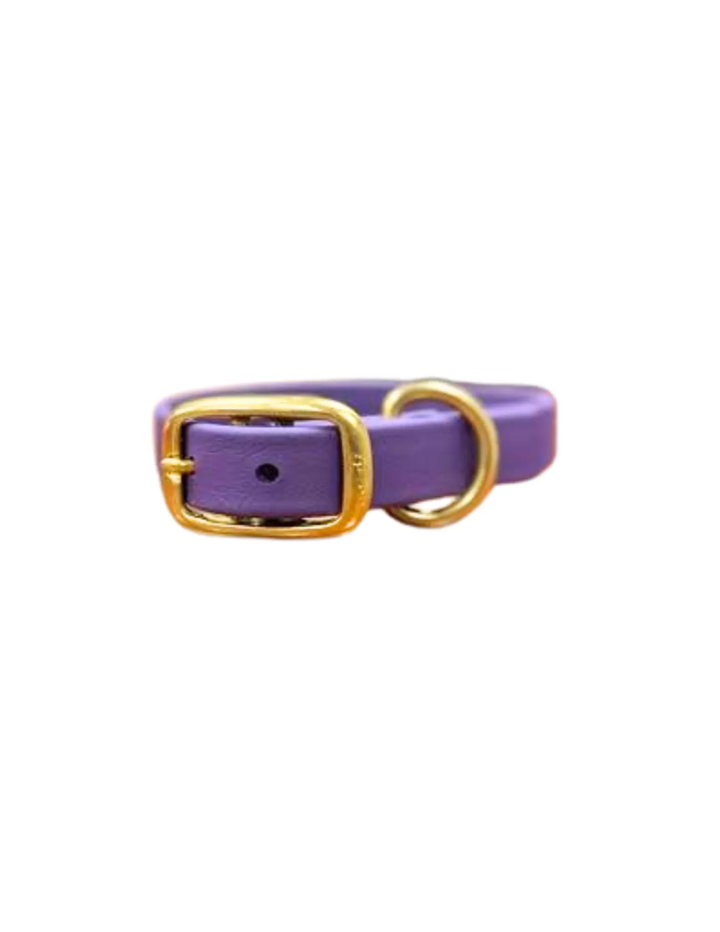 Violet Waterproof Biothane Collar Le Gray Haus